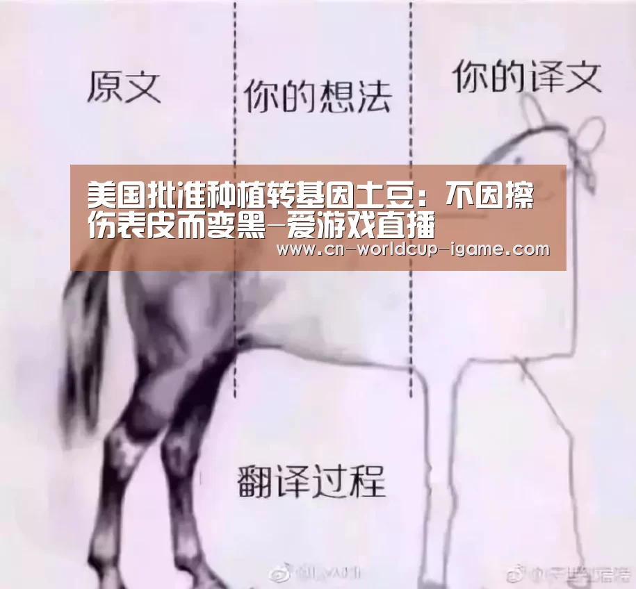 爱游戏官网