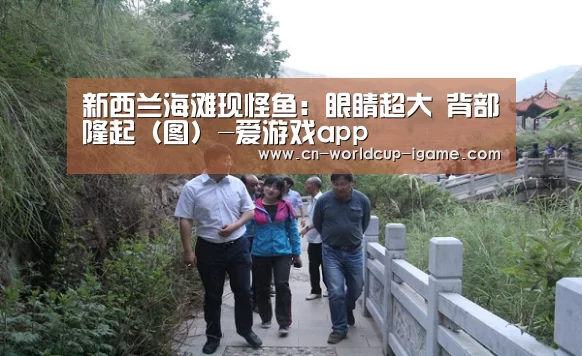 新西兰海滩现怪鱼：眼睛超大 背部隆起（图）-爱游戏app