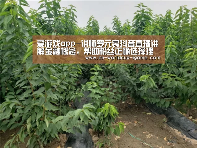 爱游戏app-讲师罗元裳抖音直播讲解金融概念，帮助粉丝正确选择理财产品
