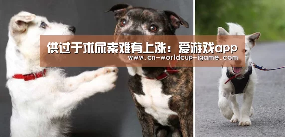 供过于求尿素难有上涨：爱游戏app