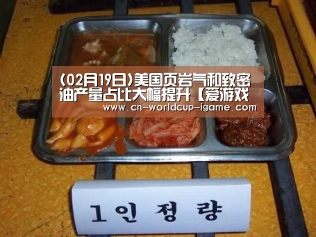 (02月19日)美国页岩气和致密油产量占比大幅提升【爱游戏棋牌】