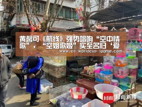 黄馨可《航线》强势唱响“空中情歌”,“空姐歌姬”实至名归‘爱游戏app’